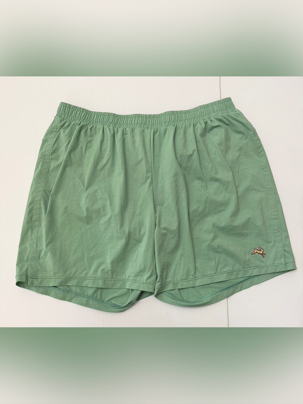 Tracksmith Twilight Men's Light Green Casual Running Shorts - XL